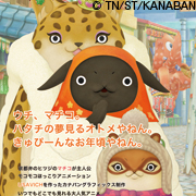 QLAP!×やんやんマチコ