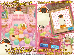 macaron_party_600