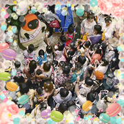 130808_komakichi2_1802
