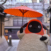 140411_MachikoinKyoto_180
