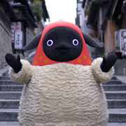 140930_kyoto-chitose_180