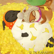 Blog_day086_Ichou_180
