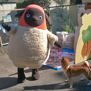 141104_dog_180