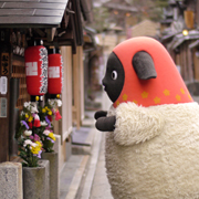 150609_aeon_toyokawa-nagoyatyaya_180