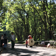 151027_kusatsu_kichijyoji_180