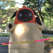 151102_koube_mozo_awaji_180