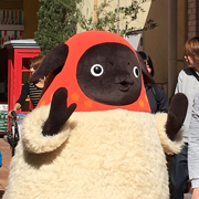 151110_mozo_180
