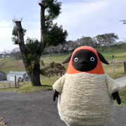 151117_awaji3_180