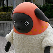 panda_180