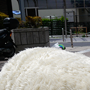 0715_koke_180